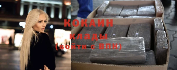 бошки Алексин