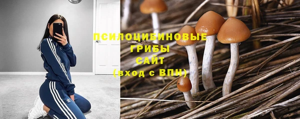 бошки Алексин