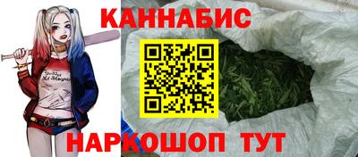 сатива Кинель