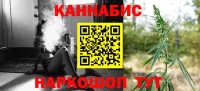 амф Камышлов