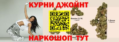 сатива Кинель