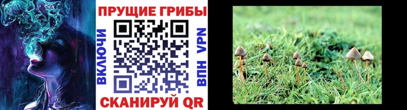 площадка состав  KRAKEN ссылка  Псилоцибиновые грибы мицелий  Лабытнанги  где можно купить наркотик 