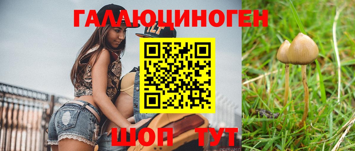 Псилоцибиновые грибы прущие грибы Лабытнанги