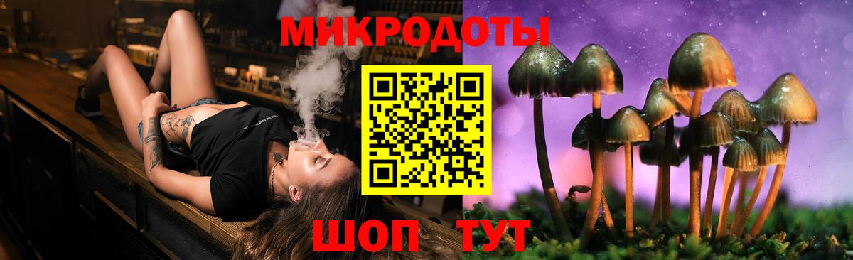 Псилоцибиновые грибы Psilocybine cubensis  Вход с VPN  Лабытнанги 